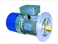 意大利刹车电机在中国包装机械行业的应用与选型指南