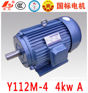 机械设备用电动机 厂家供应的三相异步电动机Y112M-4 4kW详解